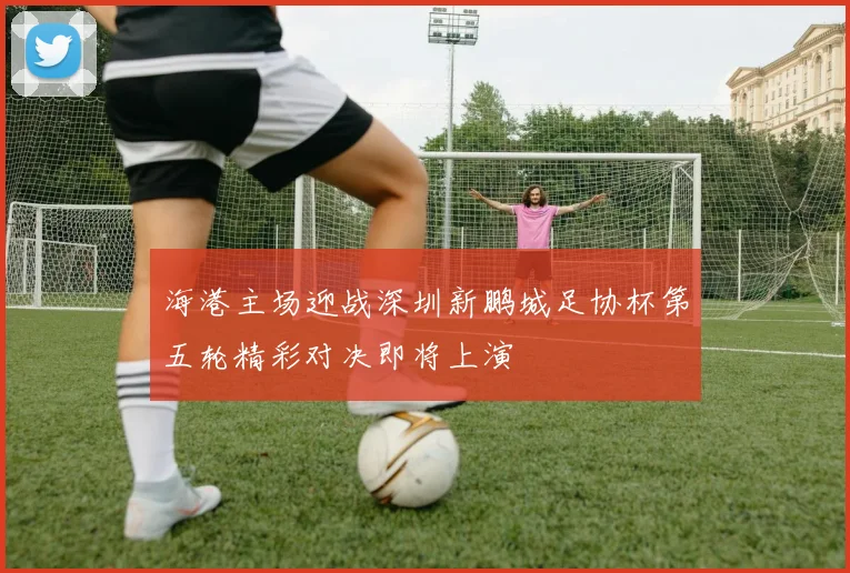 海港主场迎战深圳新鹏城足协杯第五轮精彩对决即将上演