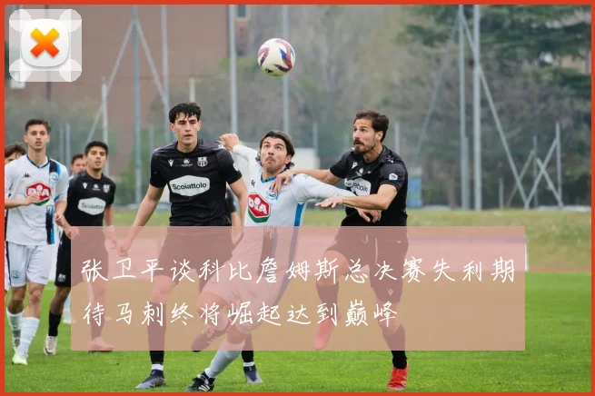张卫平谈科比詹姆斯总决赛失利期待马刺终将崛起达到巅峰